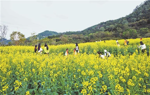 春日游 蕓苔香滿疇